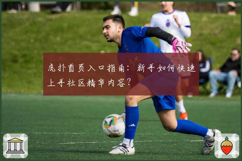 虎扑首页入口指南：新手如何快速上手社区精华内容？