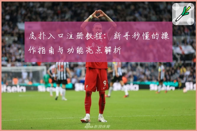 虎扑入口注册教程：新手秒懂的操作指南与功能亮点解析