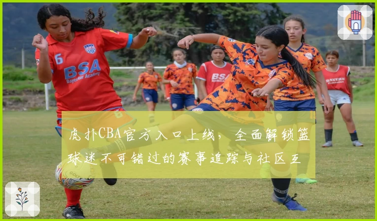 虎扑CBA官方入口上线，全面解锁篮球迷不可错过的赛事追踪与社区互动新体验