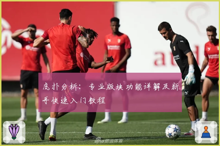 虎扑分析：专业版块功能详解及新手快速入门教程