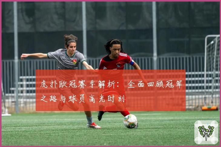 虎扑欧冠赛季解析：全面回顾冠军之路与球员高光时刻