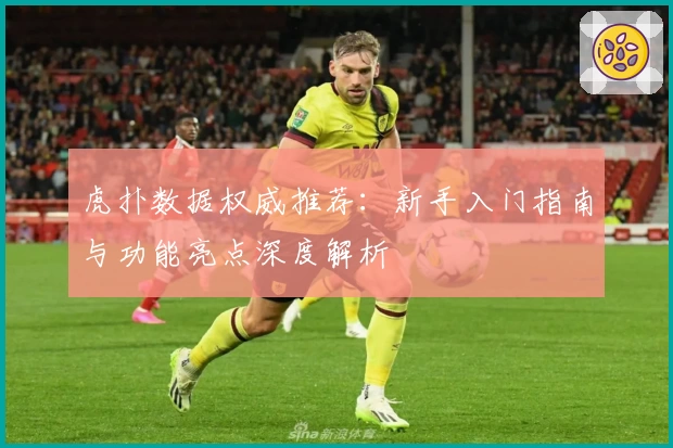 虎扑数据权威推荐：新手入门指南与功能亮点深度解析