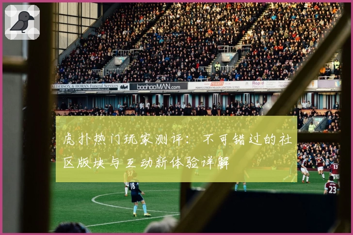 虎扑热门玩家测评：不可错过的社区版块与互动新体验详解