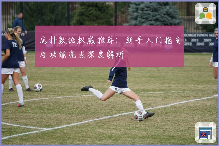 虎扑数据权威推荐:新手入门指南与功能亮点深度解析